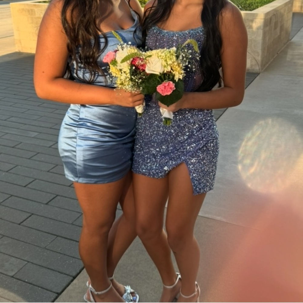 Beaded Ashley Lauren Dress